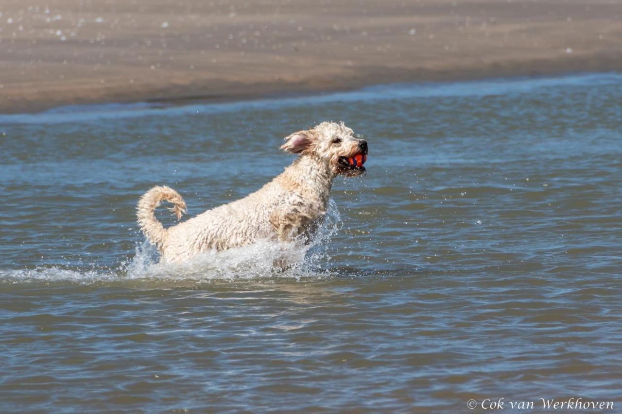 Strandhuis Aan Zee ノールトウェイク エクステリア 写真